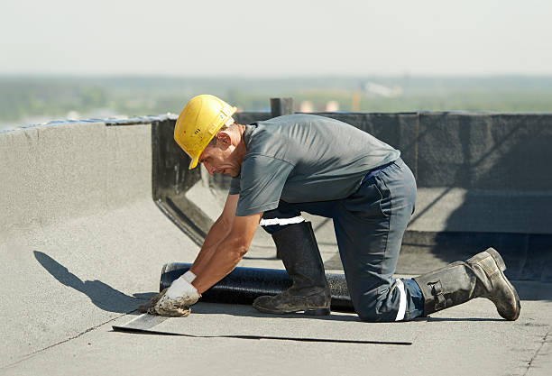 Best Energy Efficiency Solutions in Arcola, VA